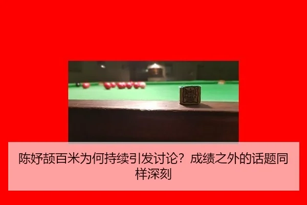 chen-yu-jie-bai-mi-wei-he-chi-xu-yin-fa-tao-lun-cheng-ji-zhi-wai-de-hua-ti-tong-yang-shen-ke-2-482.jpg